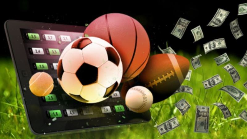 Sports betting calculator system win