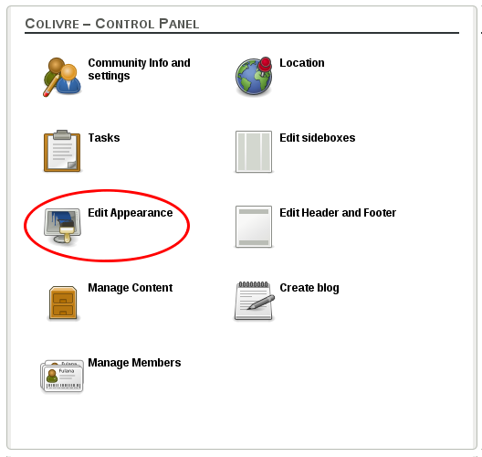 Edit appearance on user control panel