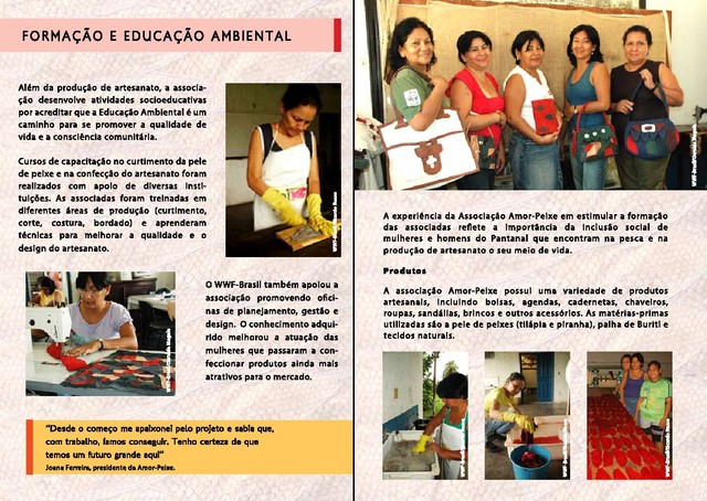 Amorpeixe2 display