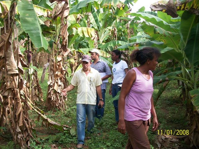 Visitas prof. beto 006 display