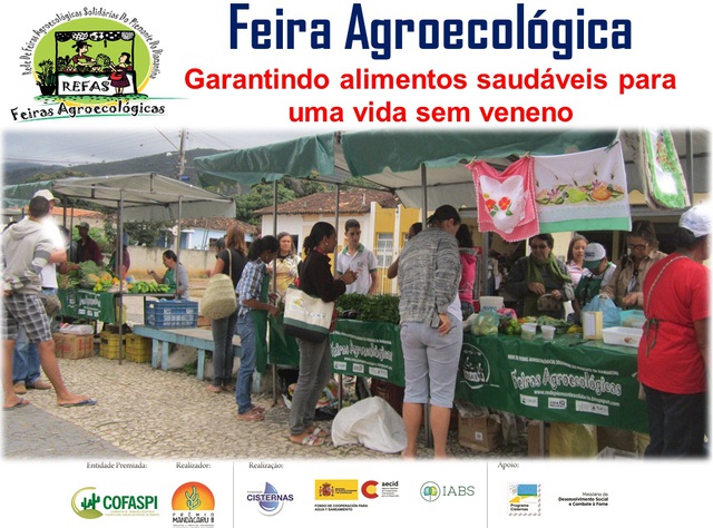 Divulgação feira agroecologica display