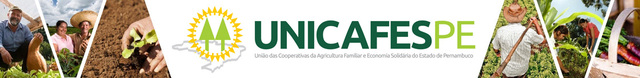 Logo unicafes pe display