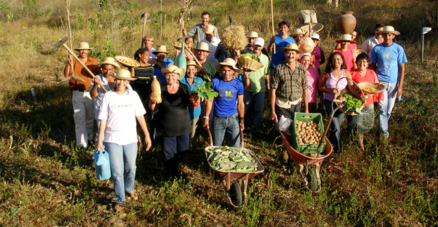 Agricultores familiares marco display